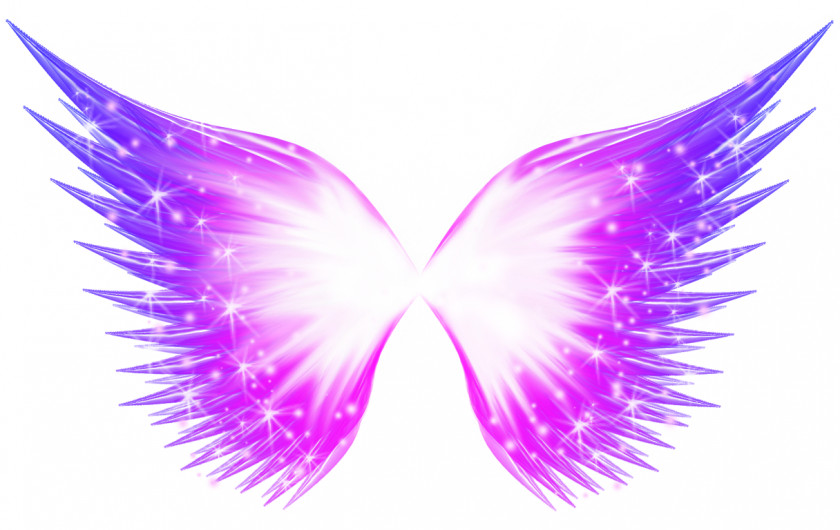 Abstract Butterfly Glow Effect Buffalo Wing PNG