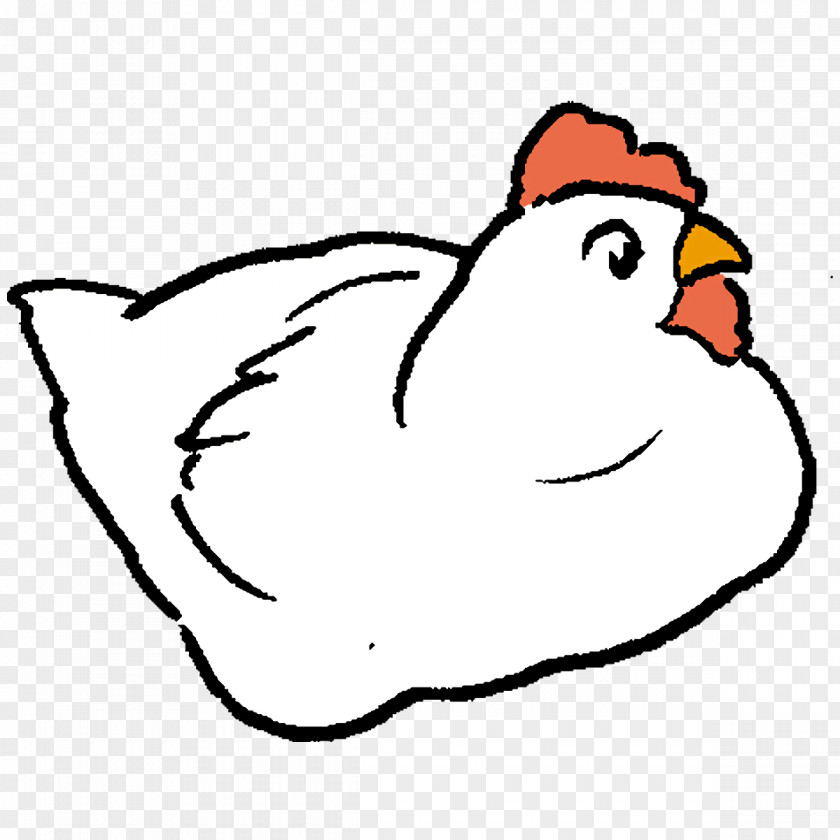 Beak Ducks Chicken Birds Line Art PNG