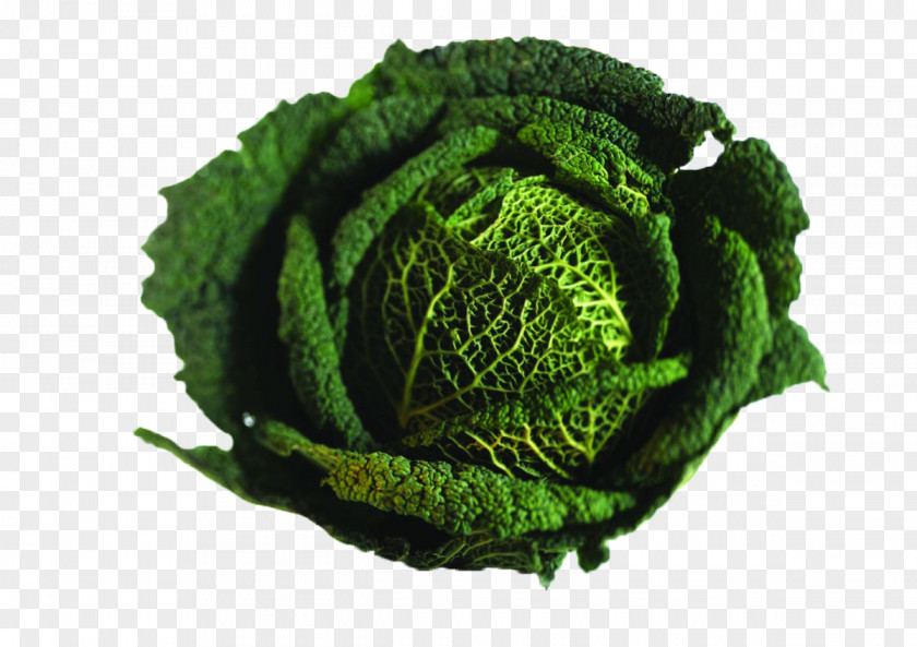 Chinese Cabbage Savoy Broccoli Vegetable Capitata Group PNG