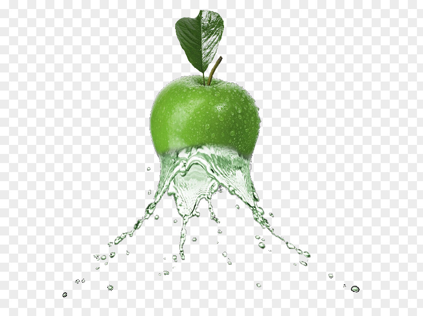 Malus Pear Green Leaf Background PNG