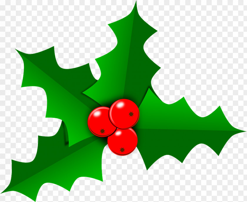 Christmas Tree Holly PNG
