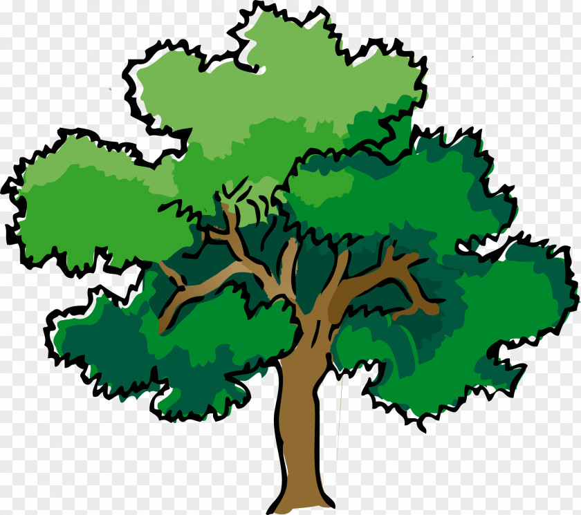 Green Leaves Brown Trunk Narra Tree Oak Clip Art PNG