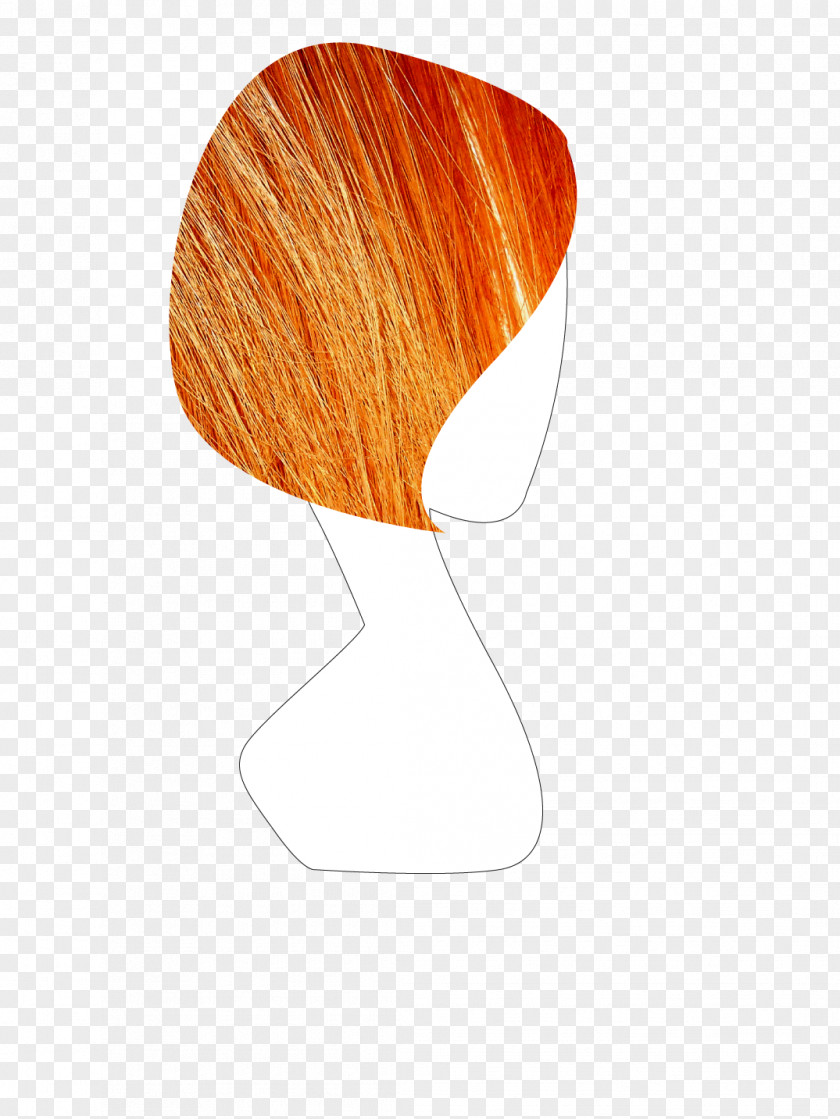 Manniquin Hair PNG