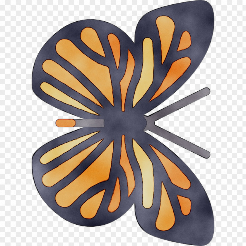 Monarch Butterfly Insect Product Symmetry Membrane PNG