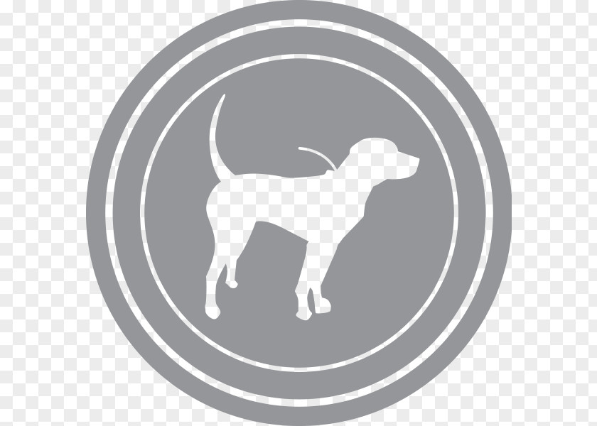 Radar Italian Greyhound Shock Collar Dog Training Bark PNG