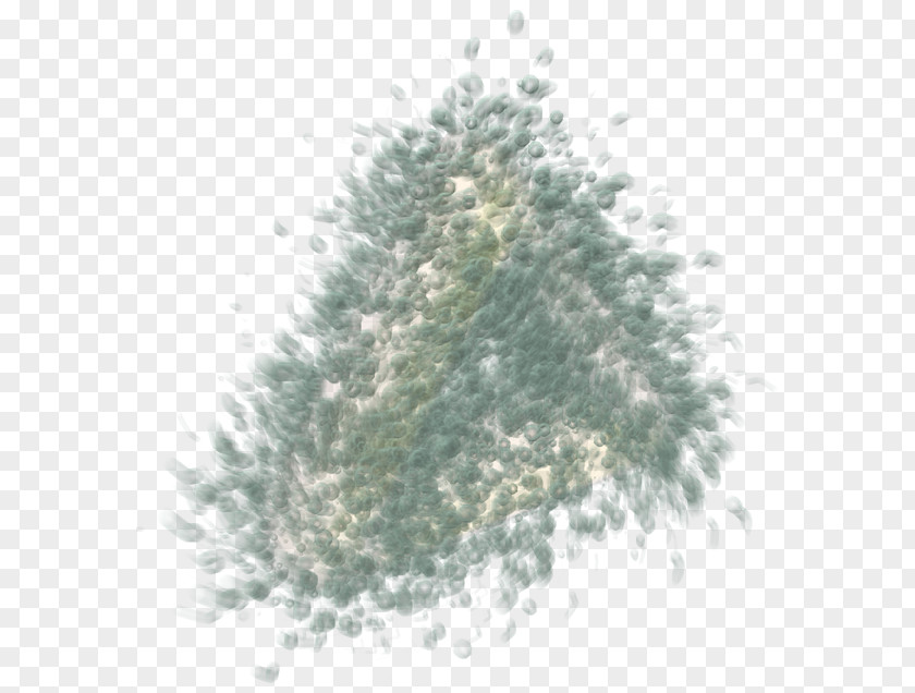 Entropy Spruce Christmas Ornament Fir Pine Tree PNG