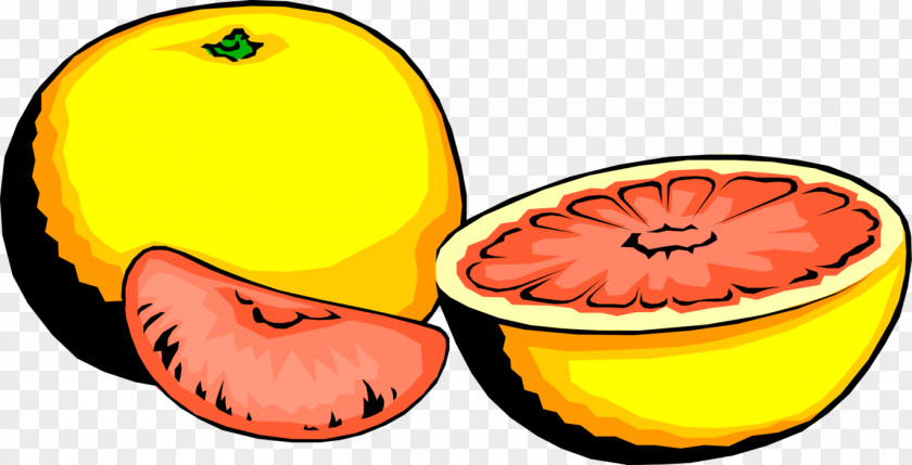 Grapefruit Clip Art Food GIF PNG