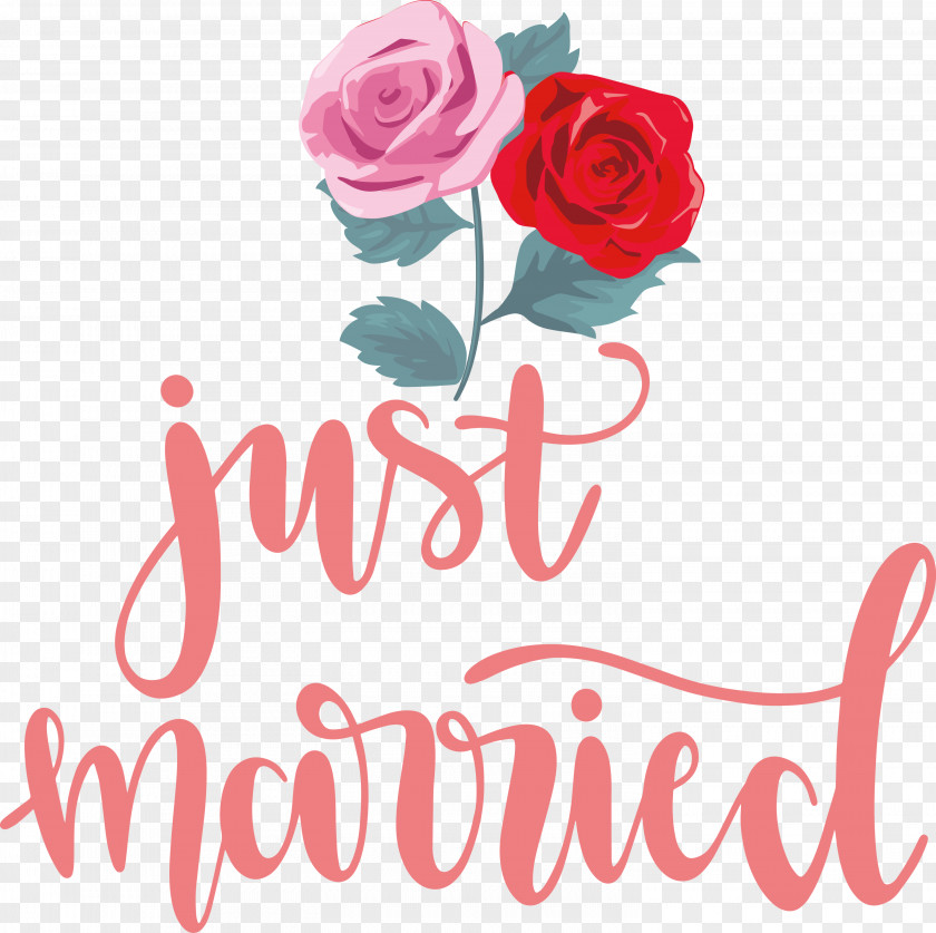 Just Married Wedding PNG