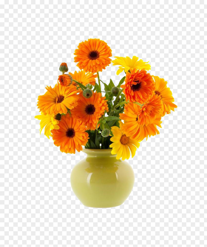 Marigolds And Vases Vase Flower Calendula Officinalis PNG