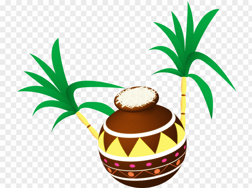 Pongal PNG