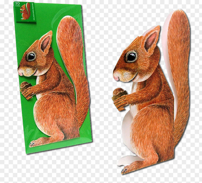 Animal 3d Chipmunk Domestic Rabbit Hare Squirrel PNG
