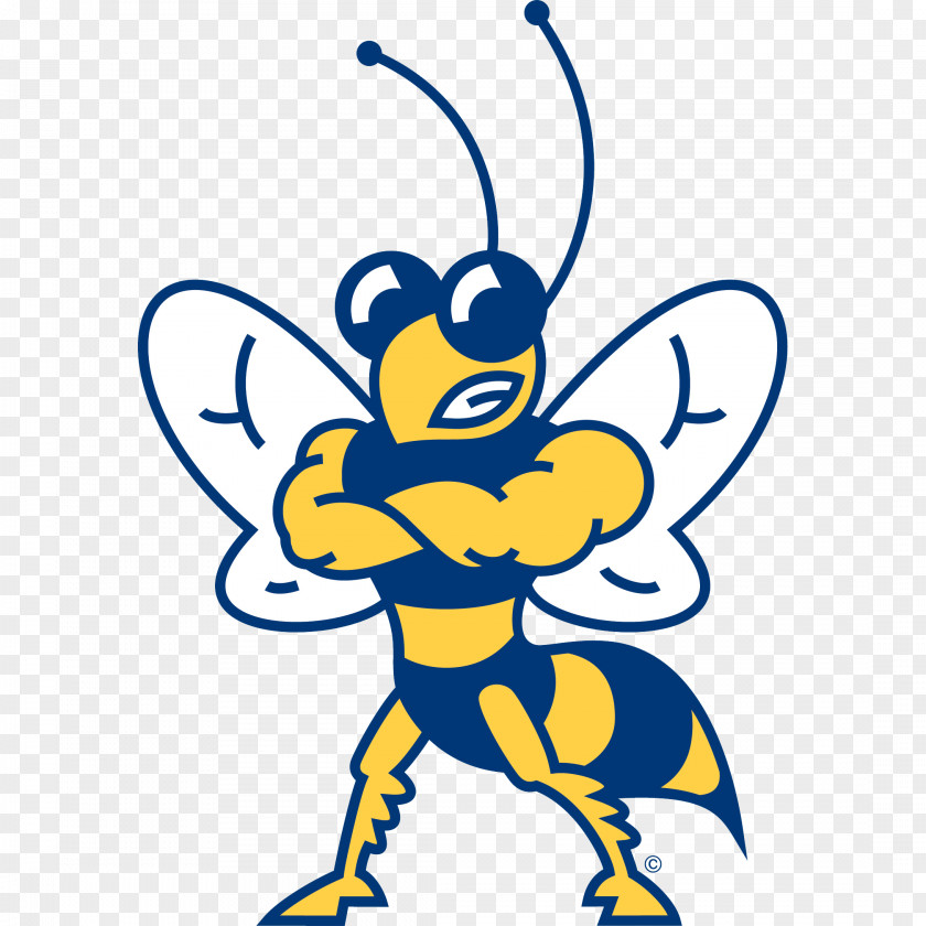 Howard Potts Png Free Download Payne University Hardin-Simmons Yellow Jackets Men's Basketball Football PNG