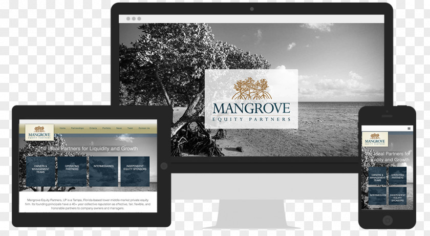 Mangrove Information Poster PNG