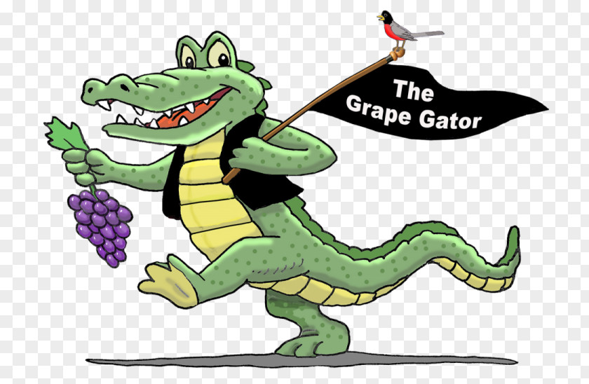 Animation Tail Alligator Cartoon PNG