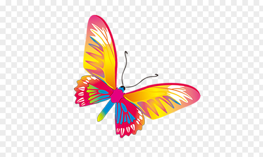 Butterfly Monarch Signature Clip Art PNG