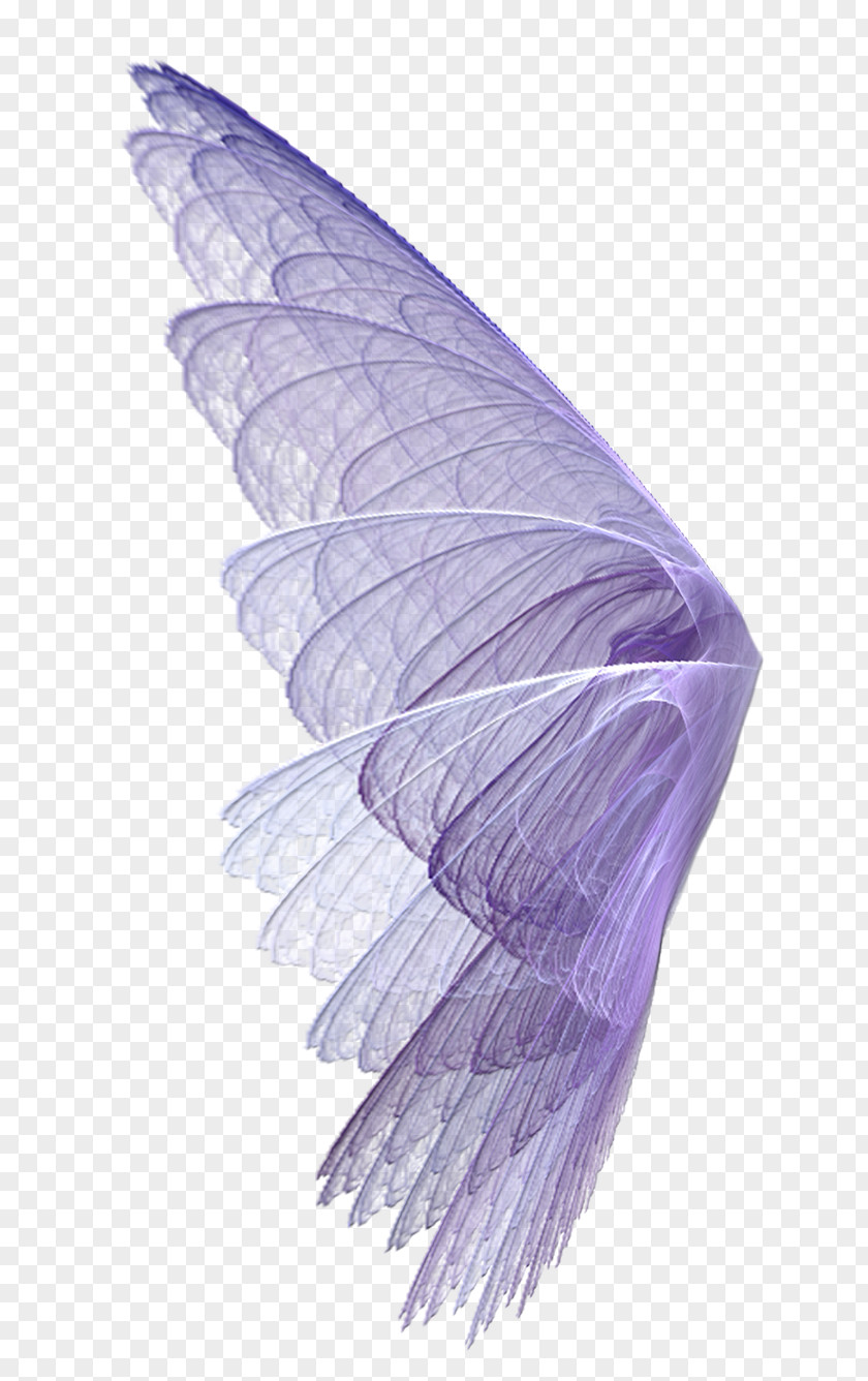 Feather Falling Material,Cartoon Fantasy Purple Wings Wing Transparency And Translucency PNG