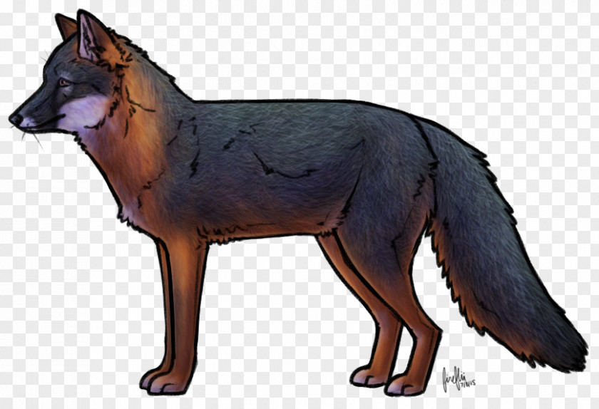 Fox Art Film Drawing PNG