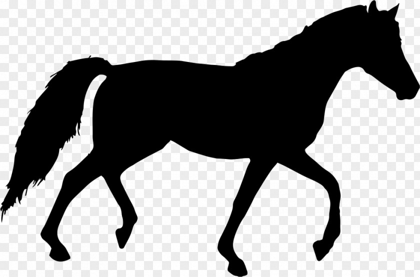 Horse Silhouette Clip Art PNG