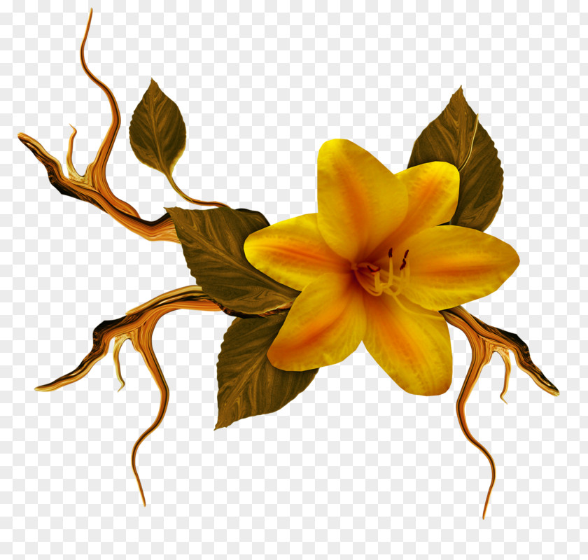 Flower Floral Design Cut Flowers Petal PNG