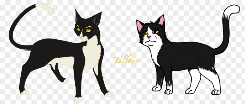 Kitten Tallstar's Revenge Whiskers Warriors PNG