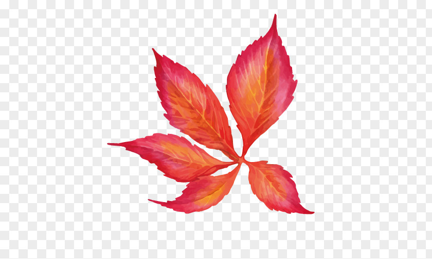 Leaf Watercolor Painting Euclidean Vector PNG