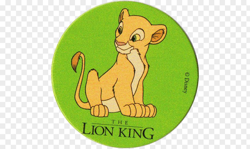 Lion Whiskers Nala Cat Simba PNG