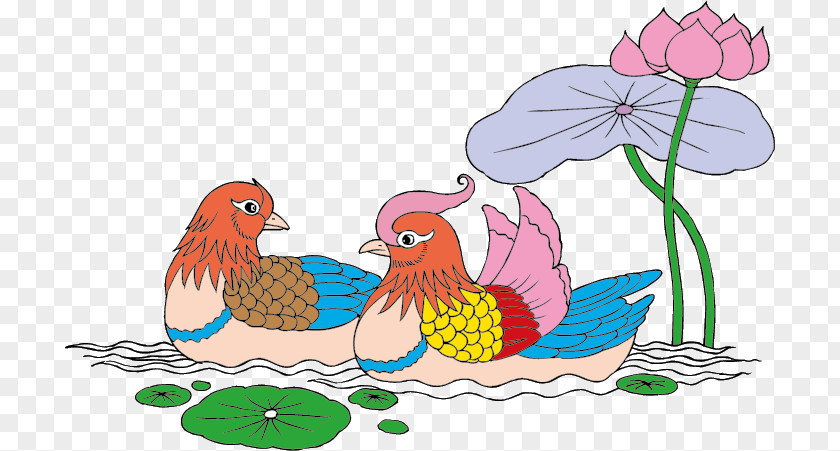 Mandarin Duck Bird Symbol PNG