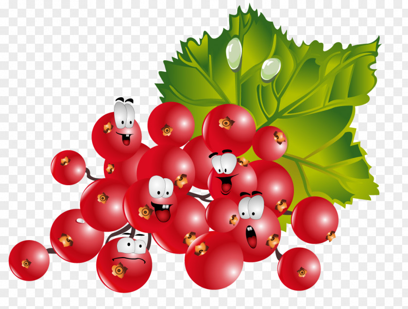 Raspberry Villain Frutti Di Bosco Redcurrant Fruit Vegetable PNG