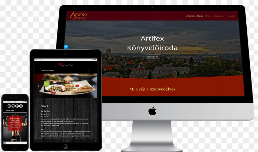 Agence Web Intecmedia Digital Agency Artifex Magyarország Kft. Indexing Showcase Website PNG