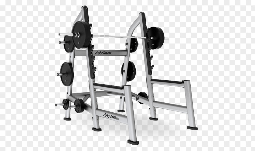 Dumbbell Power Rack Squat Weight Training Bench Life Fitness PNG