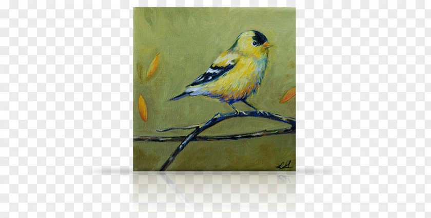 Gold Birdcage Finches Macaw Parakeet Painting Feather PNG