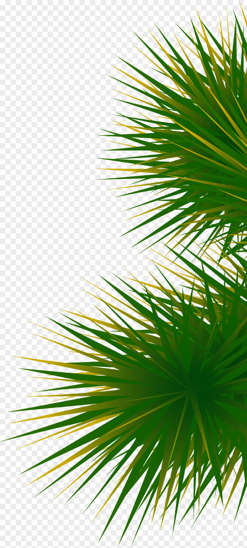 Green And Simple Grass PNG