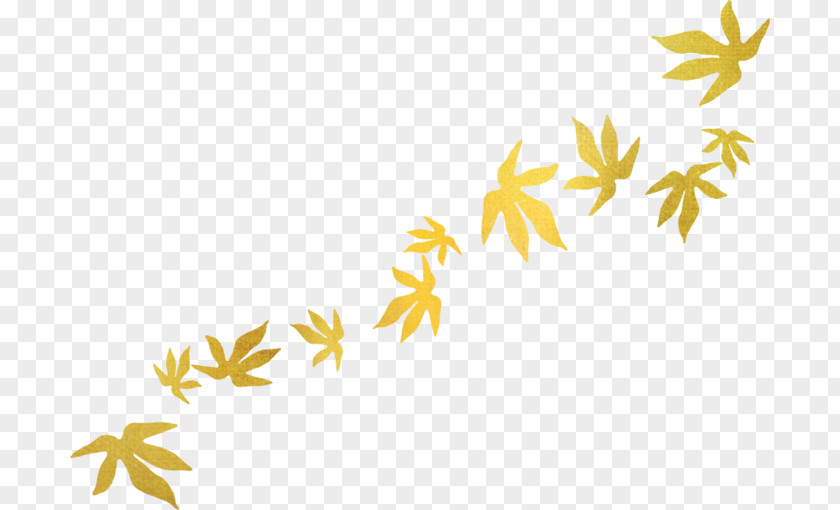 Leaf Autumn Leaves Clip Art Blog PNG