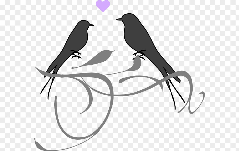Love Birds Lovebird Wedding Invitation Clip Art PNG