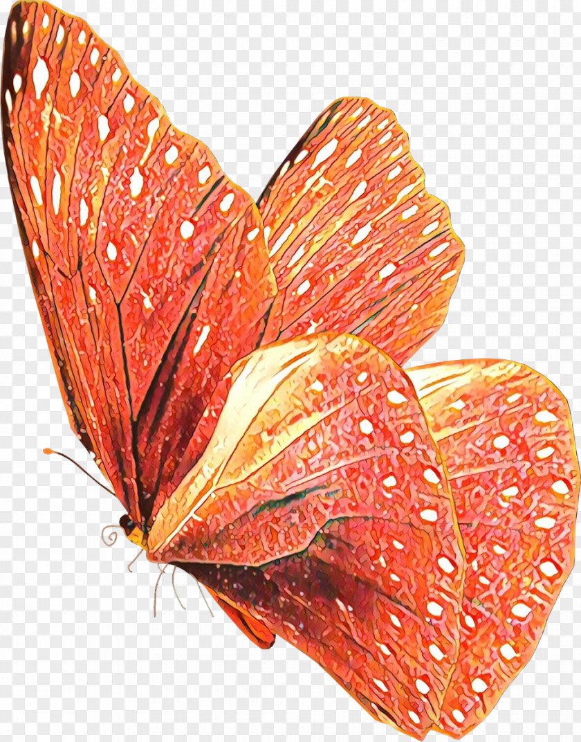 Petal Flower Orange PNG