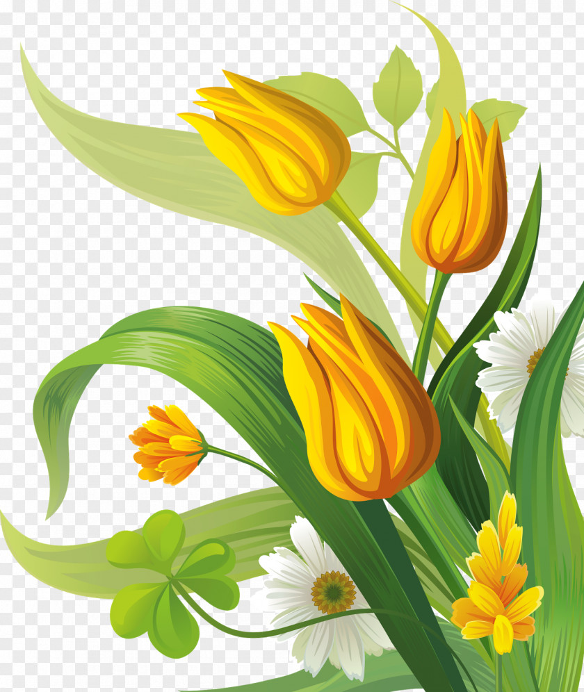 Tulip Flower Clip Art PNG