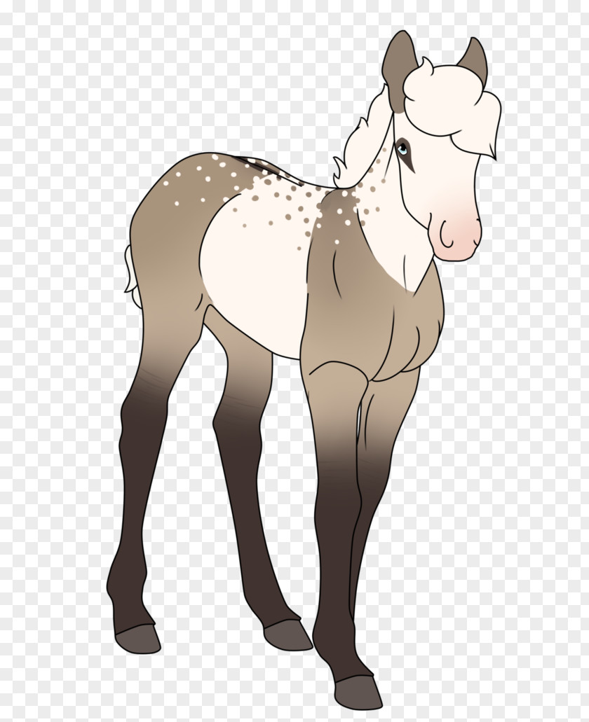 Earthquake Drawing Hey Mule Foal Mare Donkey Stallion PNG