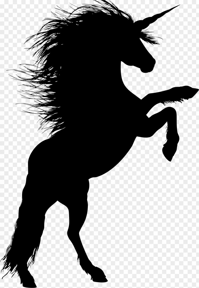 Unicorn Head Horse Stallion Rearing Silhouette PNG