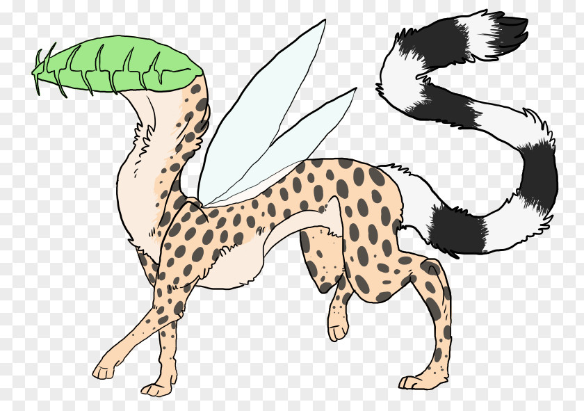 Cat Cheetah Dog Canidae Terrestrial Animal PNG