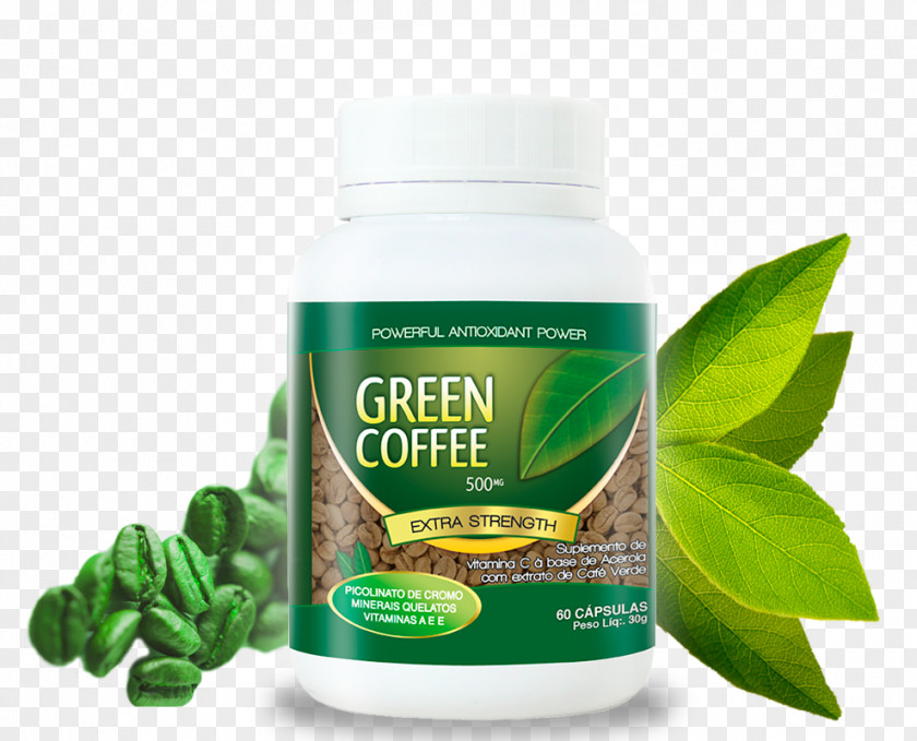 Green Coffee Extract Health Herbalism Dieting PNG