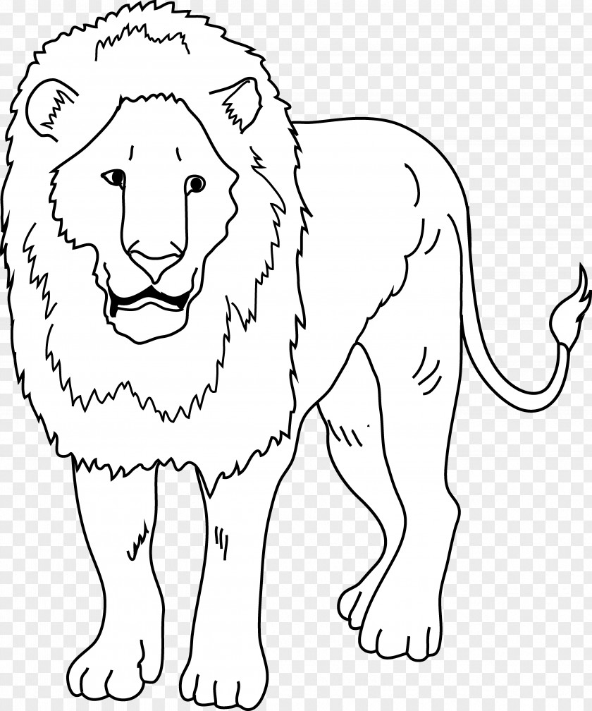 Lion Drawing White Black And Clip Art PNG