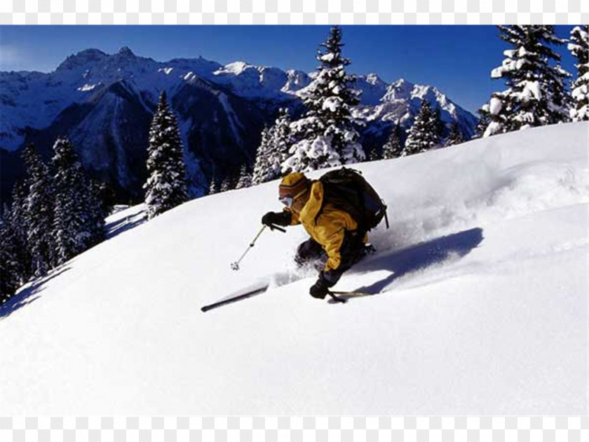 Skiing Nordic Extreme Sport Snowboarding PNG