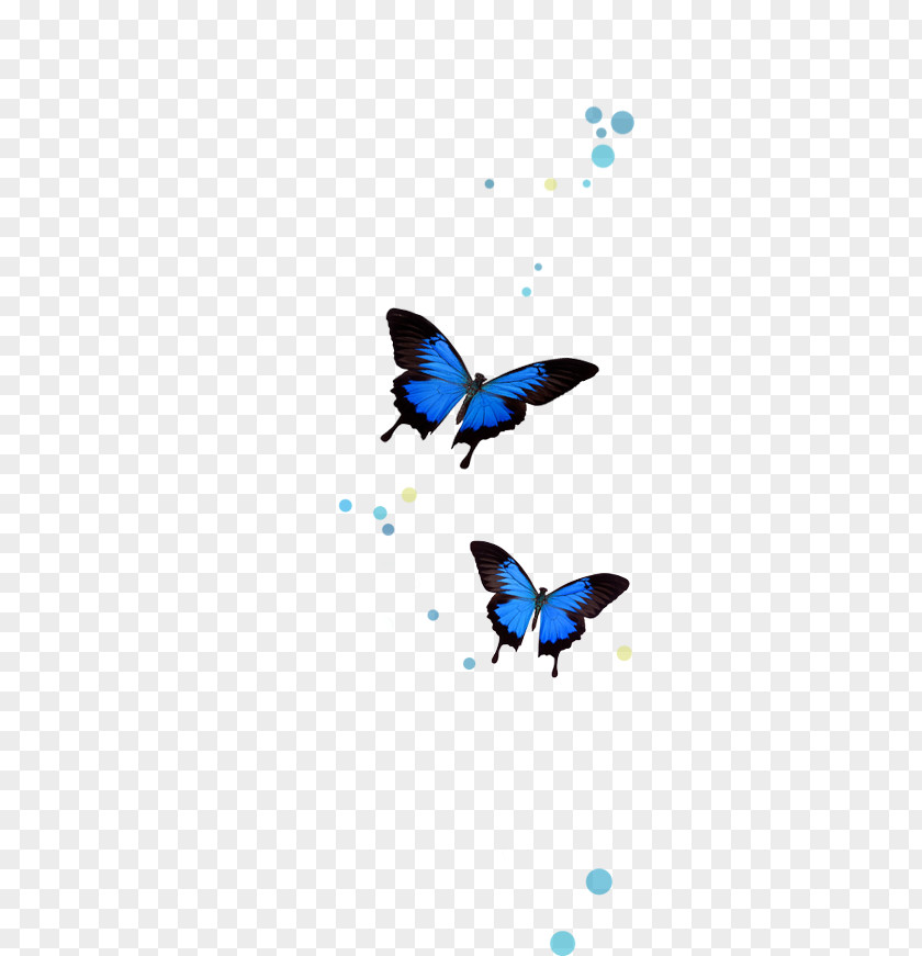 5th May Brush-footed Butterflies The Complete Dream Book: Discover What Your Dreams Reveal About You And Life Butterfly Clip Art PNG