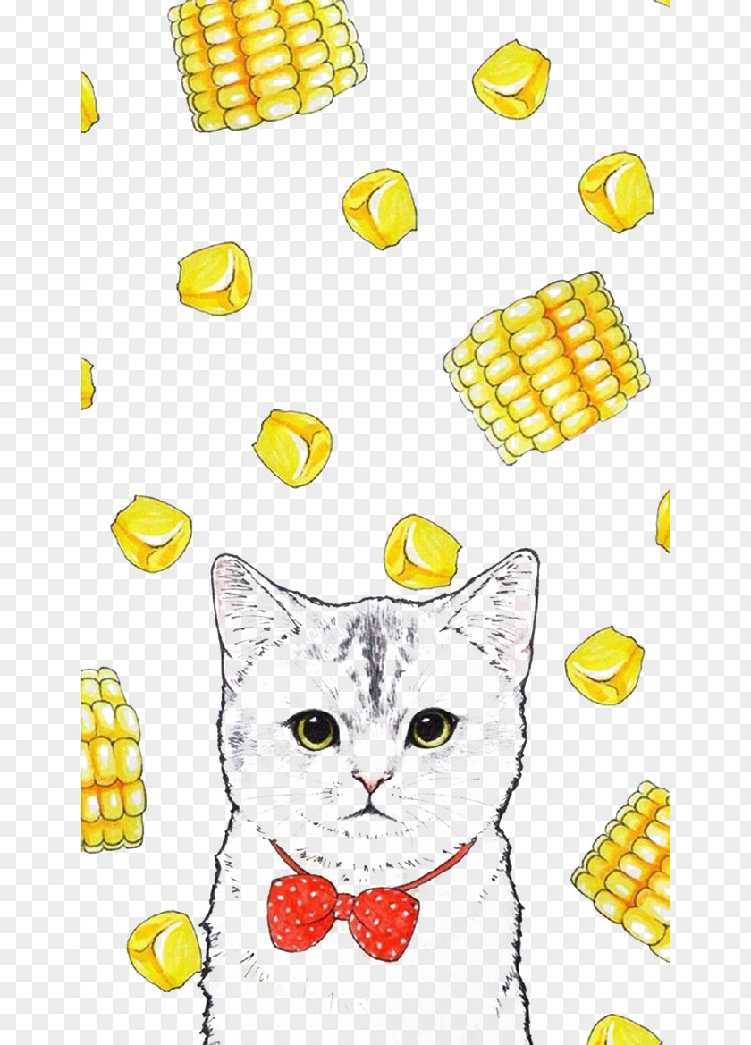 Cute Cat IPhone 6 Wallpaper PNG