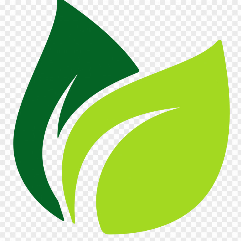 Green Leaves Leaf Logo PNG