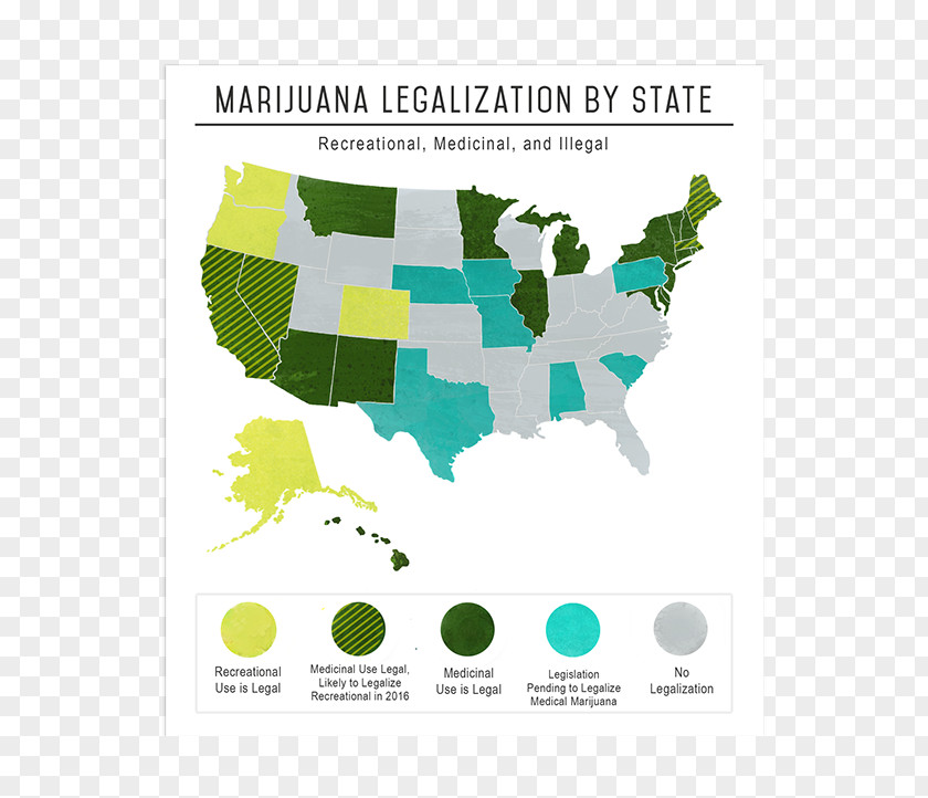 Infographic Design New Mexico Tax Law Business Homeschooling PNG