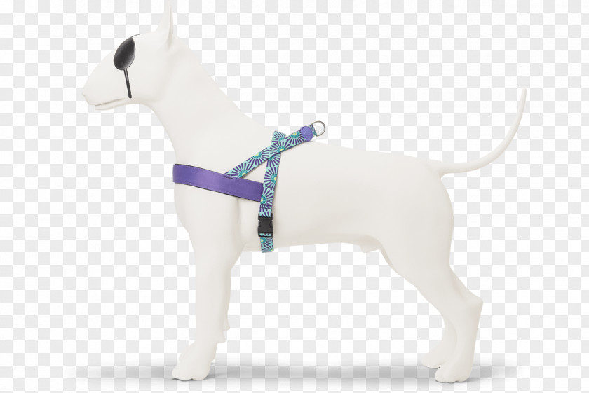 Sun Top Dog Breed Puppy Leash Snout PNG