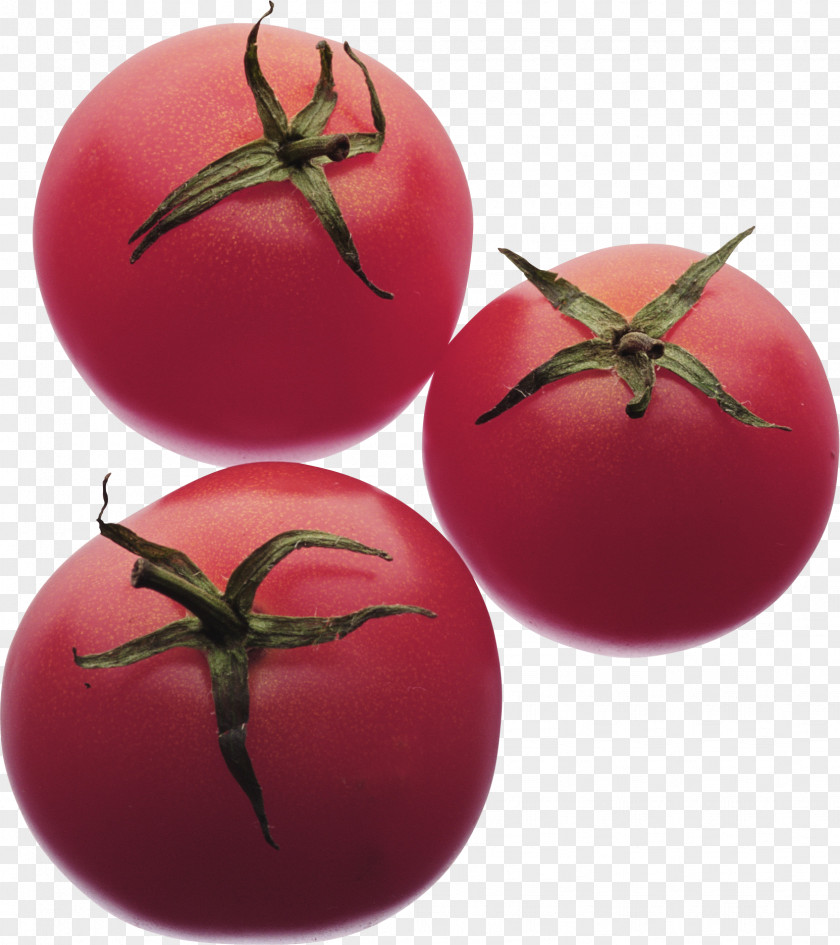 Tomatoes Tomato Soup Vegetable Fruit Food PNG