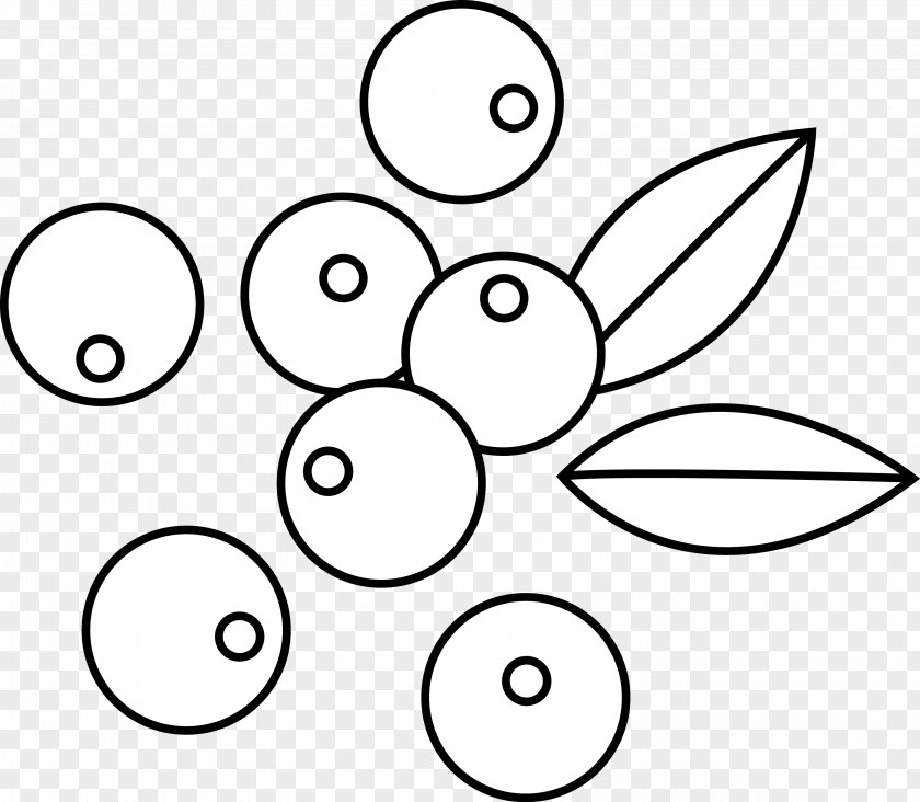 Berries Blueberry Drawing Clip Art PNG