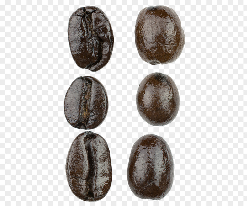 Coffee Bean Roaster Manual Single-origin Espresso Whole PNG